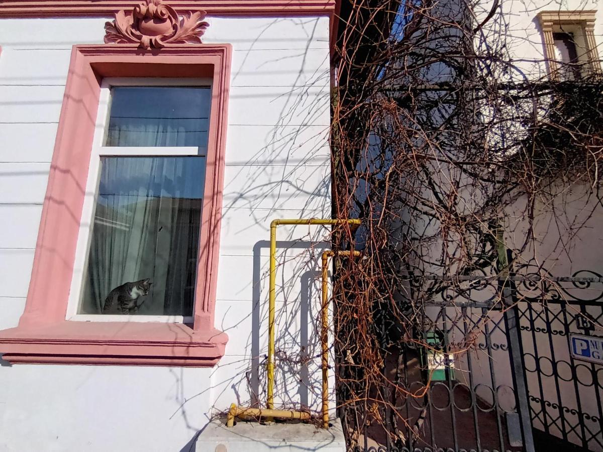 Casa Liveni Apartment บูคาเรสต์ ภายนอก รูปภาพ