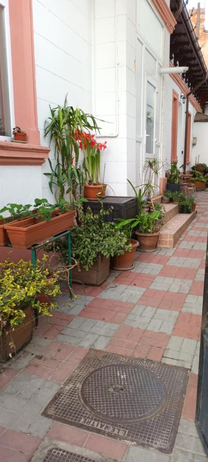 Casa Liveni Apartment บูคาเรสต์ ภายนอก รูปภาพ