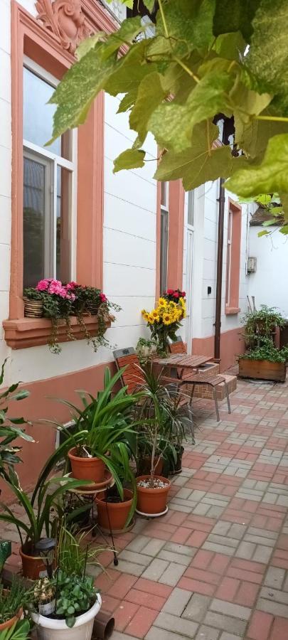 Casa Liveni Apartment บูคาเรสต์ ภายนอก รูปภาพ